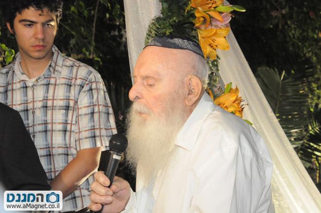 תמונה גדולה